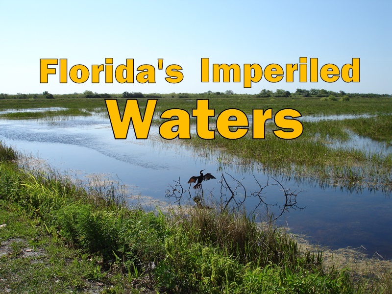 Florida’s Imperiled Waters (photo – “Everglades Florida” courtesy Robert S. Flaum)